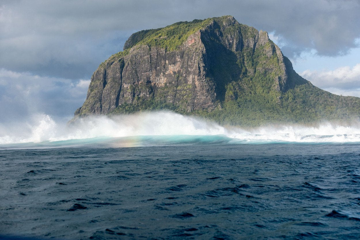 Vega Kite Sitztrapez Damen