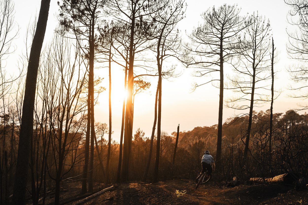 MTB Jersey Traze Amp AFT Kurzarm Herren