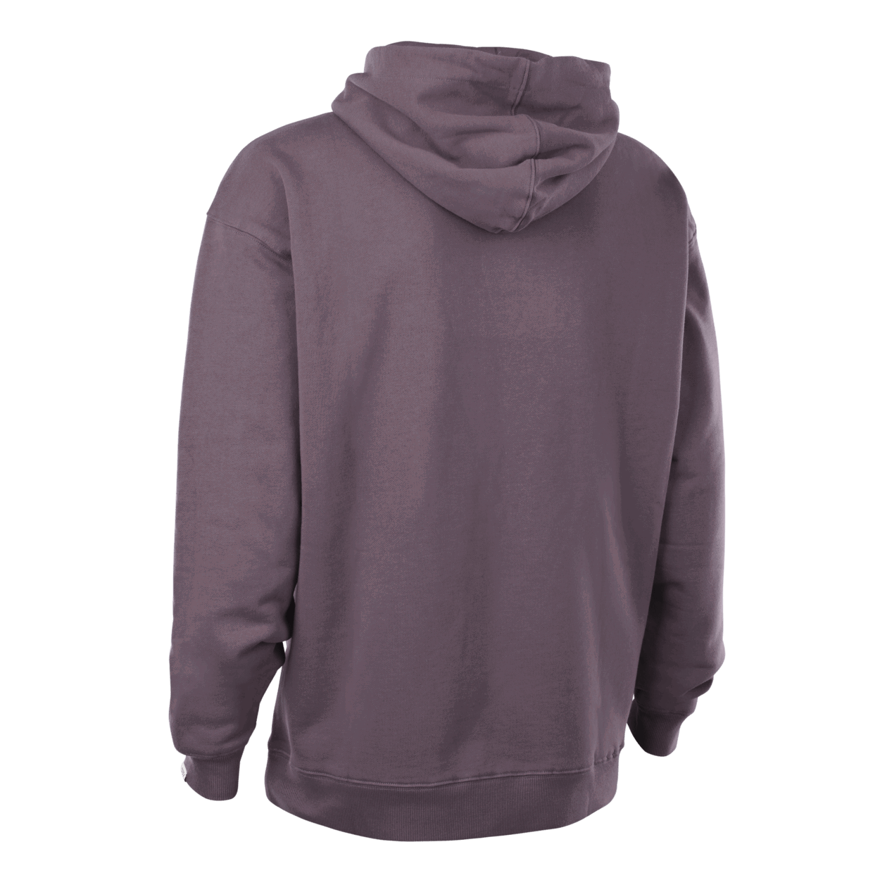 Hoodie IONIC Herren
