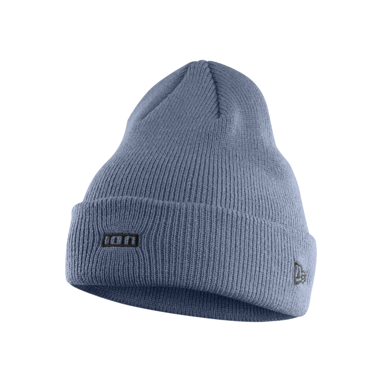 ION Beanie Logo 2024