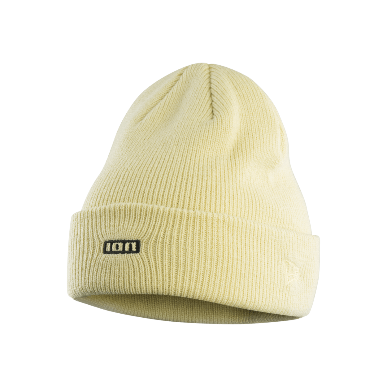 ION Beanie Logo 2024